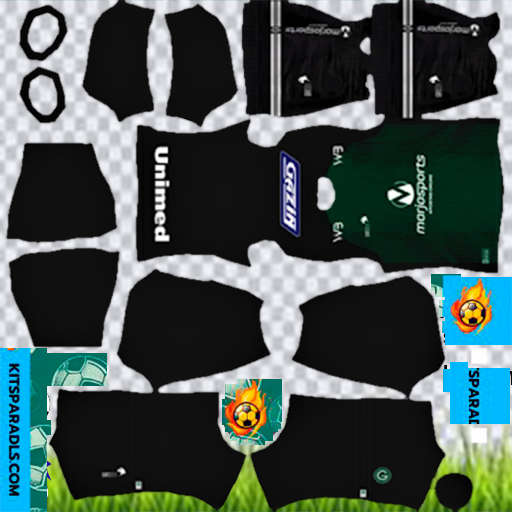 Kit portero Local de Goias para DLS 2024